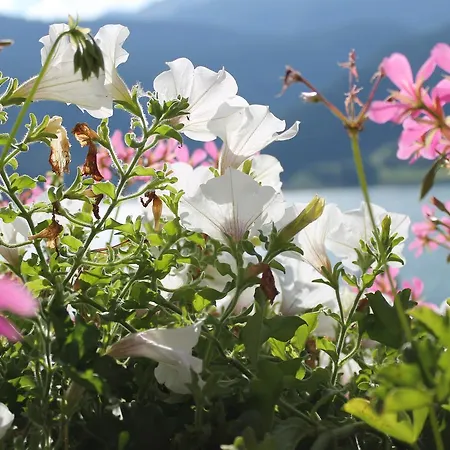 Bed & Breakfast Garni Alpenstern
